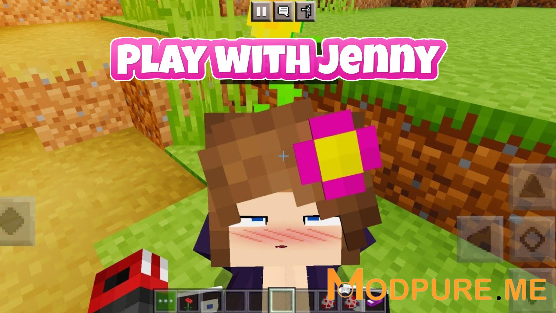 Giới thiệu về Jenny Mod